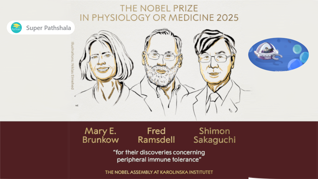 Nobel Prize 2025 in Medicine or Physiology – Full Summary